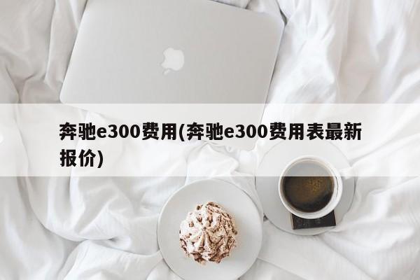 奔驰e300费用(奔驰e300费用表最新报价)