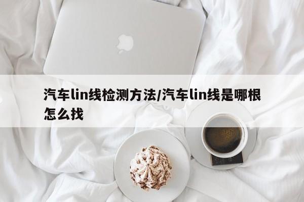汽车lin线检测方法/汽车lin线是哪根怎么找