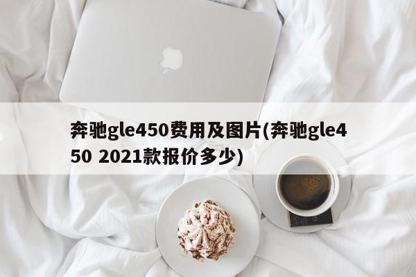 奔驰gle450费用及图片(奔驰gle450 2021款报价多少)