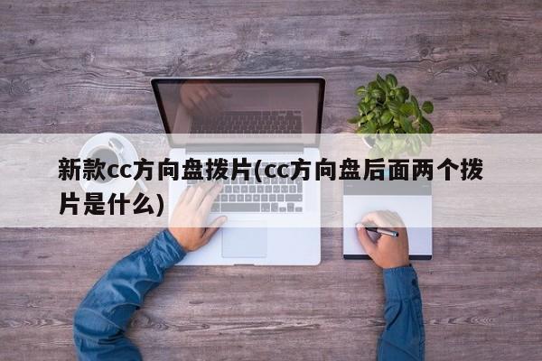 新款cc方向盘拨片(cc方向盘后面两个拨片是什么)