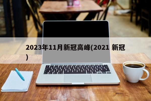 2023年11月新冠高峰(2021 新冠)
